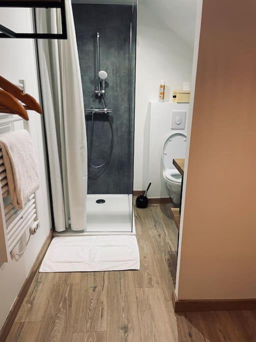 Bryas 3 - Appartement Tres Chaleureux Chateauroux Exterior photo